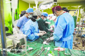 دبیرعلمی کنگره جامع اورولوژی: وضعیت شیوع سنگ‌ های دستگاه ادراری در ایران