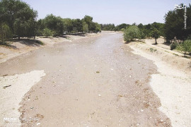 رئیس اتاق اصناف کشاورزی اصفهان: زاینده‌رود برای کشت پاییزه بازگشایی می‌شود