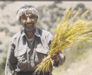 هم اندیشی مدیریت شهری هشتگرد برای ارتقاي خدمات به شهروندان