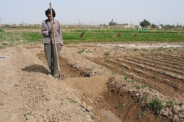 خسارت ۴۳۱ میلیارد تومانی بارش‌های بهاره  به کشاورزی کرمانشاه