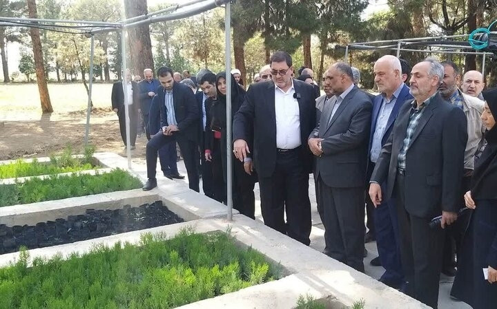 کاشت یک میلیارد درخت ظرفیت نهالستان‌ها را به ۱۰۰ درصد رساند