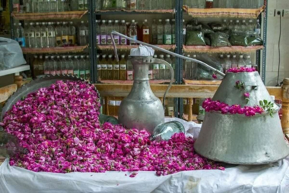 فرانسه معطر به گلاب خراسان جنوبی