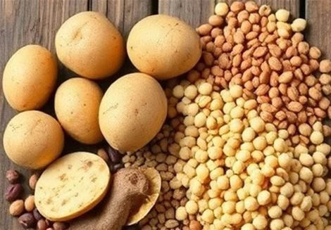 صادرات سیب‌زمینی و انواع حبوبات به مدت  ۲ ماه ممنوع شد