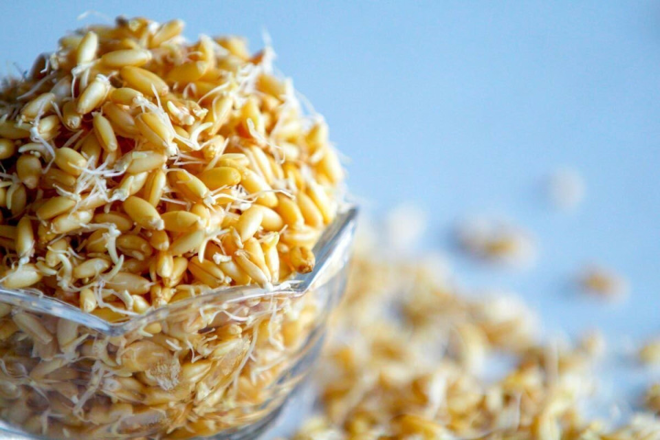 دچار خستگی مفرط هستید؟ این جوانه‌ها را میل کنید