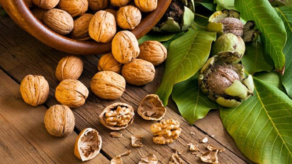 مصرف گردو خطر ابتلا به سرطان روده  را کاهش می‌دهد