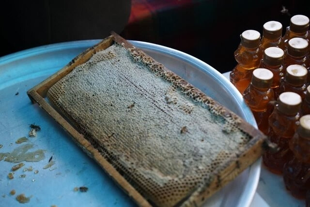 تلاش برای برندسازی عسل زنجان