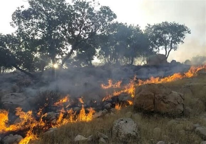آتش‌سوزی در کمین جنگل‌های غرب مازندران