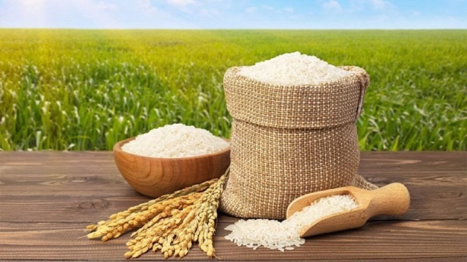 کاهش قیمت برنج تا دو هفته آینده