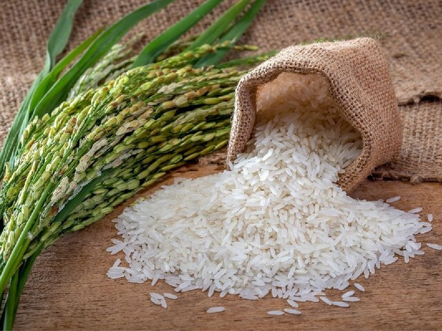 عرضه برنج در بازارگاه به زودی