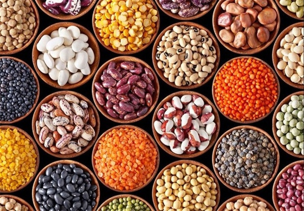 حبوبات برای سالمندان مضر است یا مفید؟