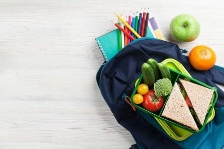 نقش پروتئین در افزایش قد و تراکم استخوان