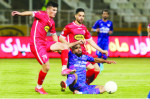 همه باید از پرسپولیس حمایت کنیم