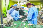 دبیرعلمی کنگره جامع اورولوژی: وضعیت شیوع سنگ‌ های دستگاه ادراری در ایران