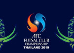 واکنش رئیس کمیته فوتسال AFC به لغو  جام باشگاه‌های آسیا