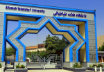 شرایط جذب نیروی امریه دانشگاه علامه طباطبائی اعلام شد