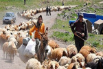 شرایط بهره‌مندی بیمه‌شدگان صندوق روستائیان  از مستمری ازکارافتادگی