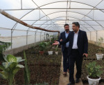 کاشت بیش از ۱۲۵ هزار بوته انواع گل و گیاه  تا پایان امسال