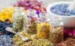 صادرات ۱۰ میلیون دلاری گیاهان دارویی استان اصفهان