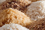 واردات برنج معروف دانه بلند هندی ممنوع شد