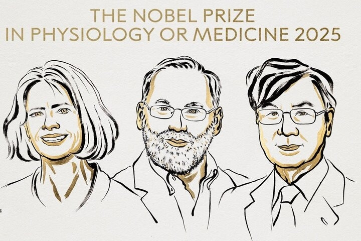 برندگان جایزه نوبل پزشکی ۲۰۲۵ معرفی شدند