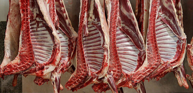 توزیع گوشت وارداتی با قیمت زیر  ۷۰۰ هزار تومان از هفته جاری