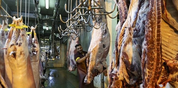 قیمت گوشت قرمز تعدیل می‌شود؛ رتبه سوم خرید کالابرگ