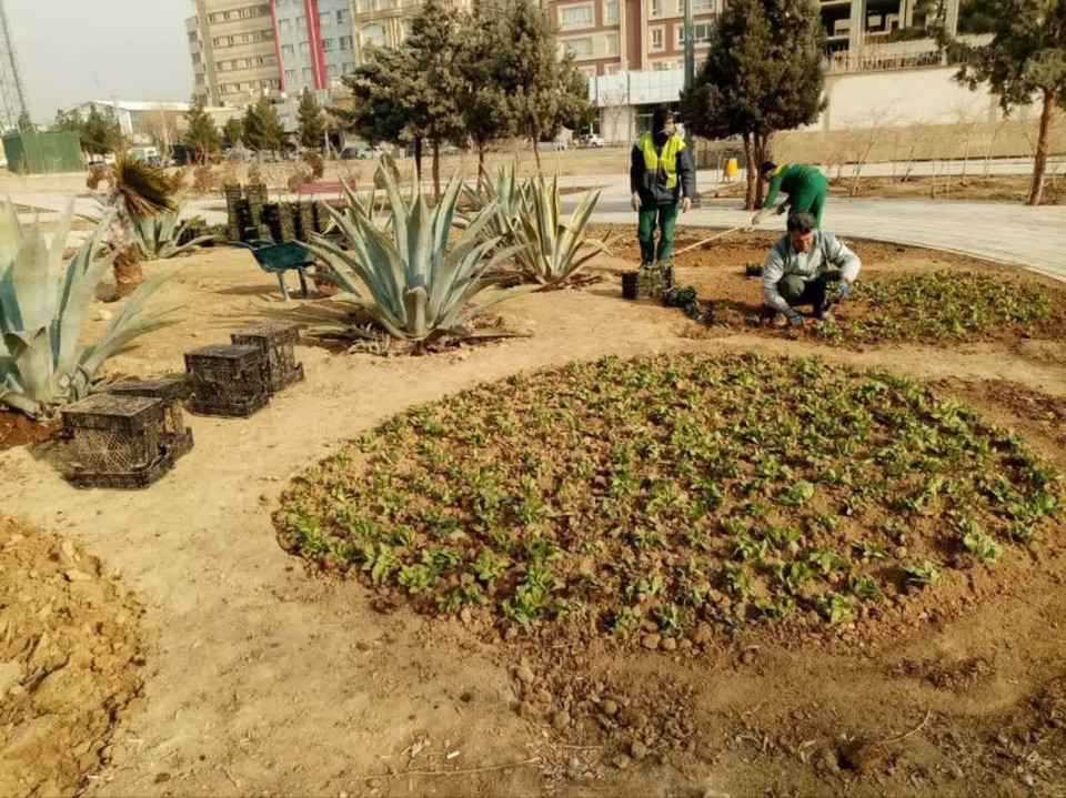 کاشت انبوه گل و گیاه در فضای سبز منطقه ۳ شهرقدس در قالب طرح استقبال از بهار