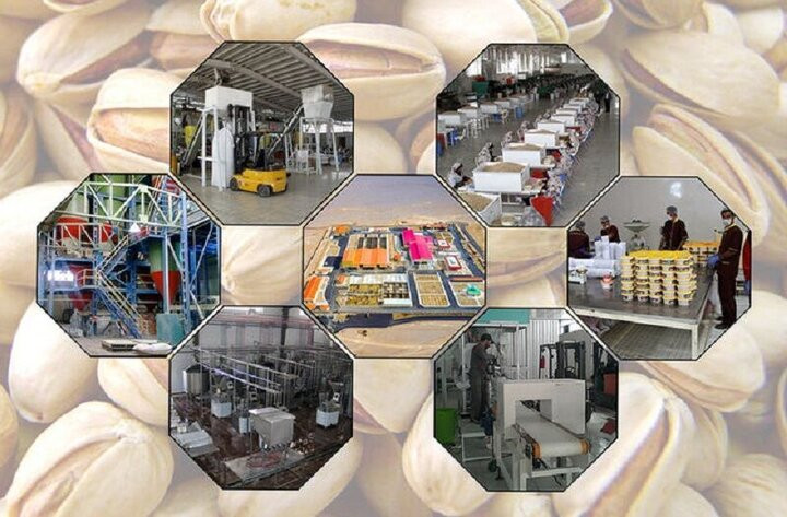 ۱۸۰ طرح صنایع تبدیلی و غذایی در دهه فجر به بهره‌برداری می‌رسد