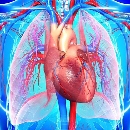 آلودگی صوتی شبانه تهدیدی برای سلامت قلب