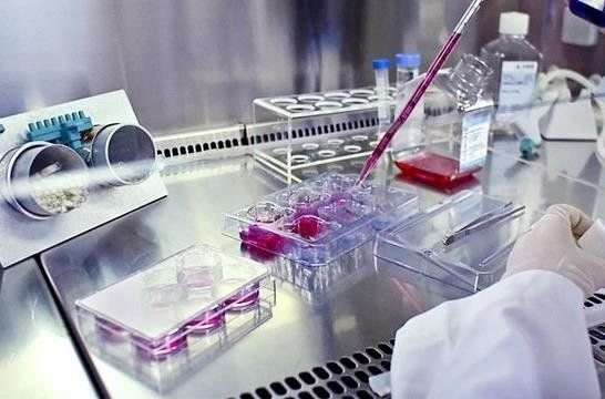 انتشار شانزدهمین فراخوان گرنت نیماد؛ حمایت از ۳۳ طرح پژوهشی