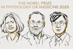 برندگان جایزه نوبل پزشکی ۲۰۲۵ معرفی شدند