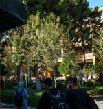 حدود ۷۰۰ فرصت شغلی در انتظار دانشجویان و دانشگاه آموختگان شریف