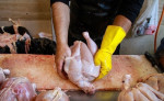 مشکلی برای تأمین مرغ ایام ماه رمضان نداریم