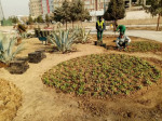 کاشت انبوه گل و گیاه در فضای سبز منطقه ۳ شهرقدس در قالب طرح استقبال از بهار