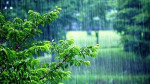بارش‌ها در بهار سال آینده چقدر خواهد بود؟