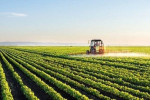 نوسانات دمایی؛ زنگ خطر جدی برای کشاورزی آذربایجان شرقی