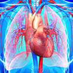 آلودگی صوتی شبانه تهدیدی برای سلامت قلب
