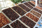 ۴۰ کانتینر خرما راهی صادرات شد