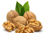 بهترین روش نگهداری گردو به گونه ای که چربی‌های آن اکسیده نشود و طعم و بوی خوبی داشته باشد